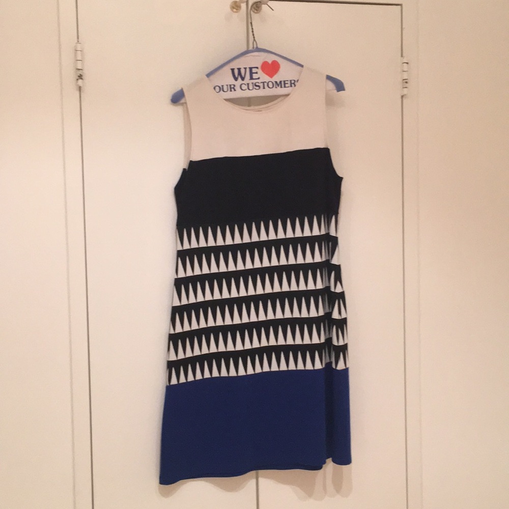 Bailey44 dress